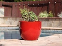 EGG SHELL POTS, LAVISH RED, SET OF 3 - 17.0" X 15.0", 14.0" X 12.5", 11.5" X 12.0"