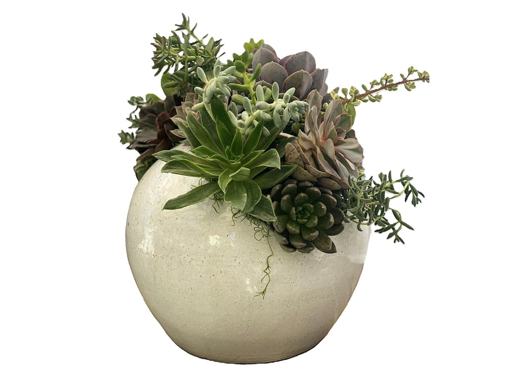 ORBIT PLANTER, WHITE SPOT, 15.0"