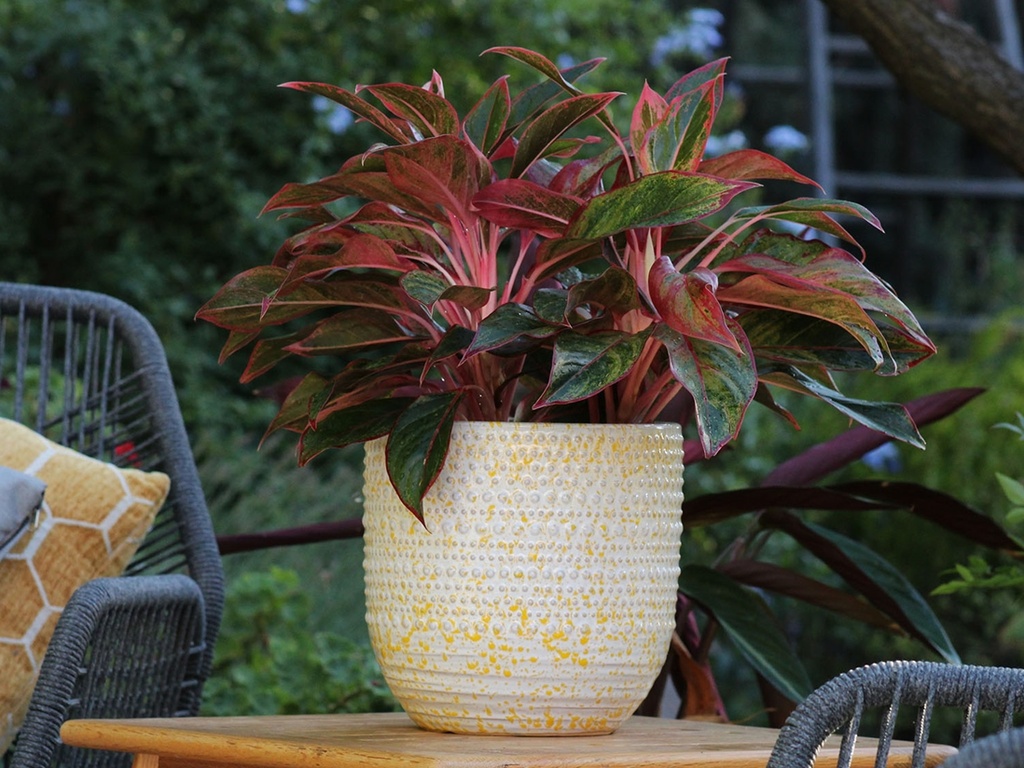 GARDENIA PLANTER, HONEY SPLASH, SET OF 3,  15"X13.5"  12"X11" 10"X9"