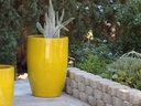 TALL BARREL PLANTER, NO RIM, SET OF 2- CANARY YELLOW, 22"X32.5" 18"X26"