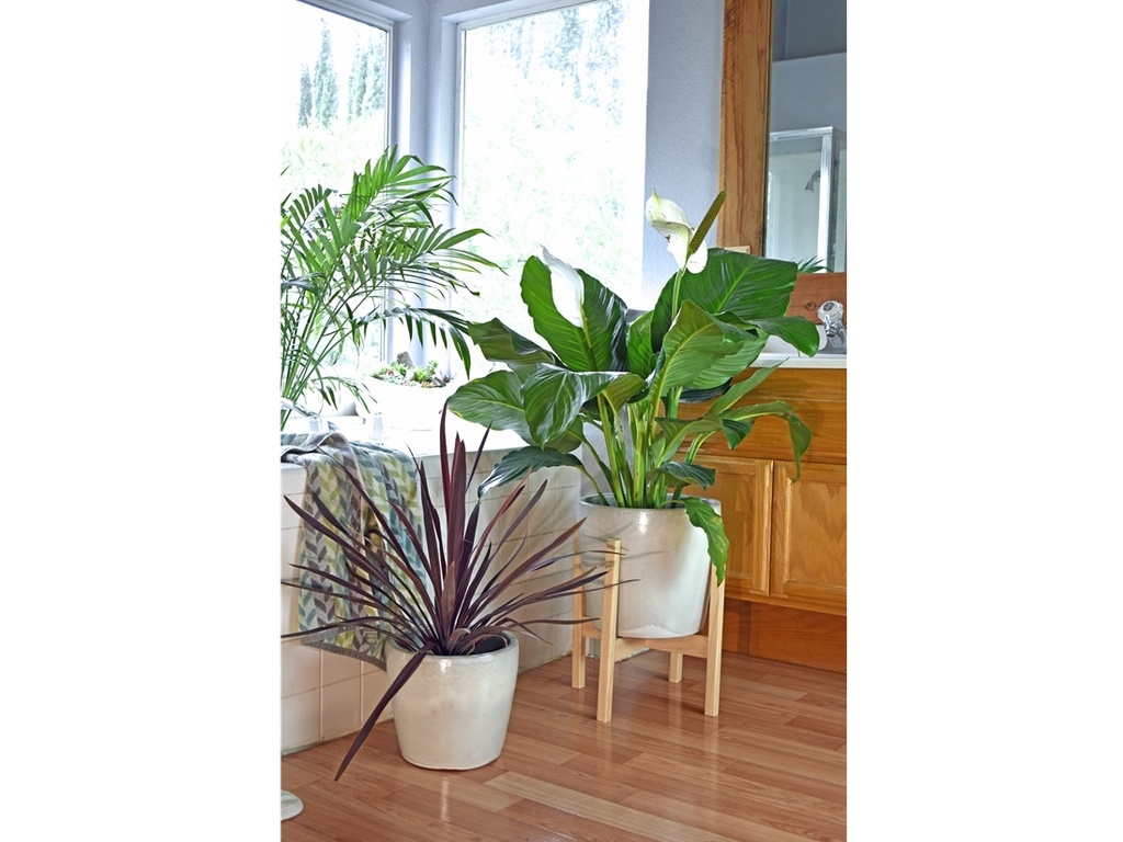 BUTTERCUP, WHITE SATIN, SET OF 3- 16.0" X 14.0", 13.0" X 12.0", 10.0" X 9.5"