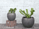 LOW MILANO PLANTER, MATTE BLACK, SET OF 2 - 16.0" X 12.0", 12.0" X 10.0"
