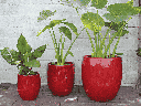 TALL MILANO PLANTER, LAVISH RED, SET OF 3-22.0" X 23.5" 17.0" X 18.5" 12.5" X 14.0"