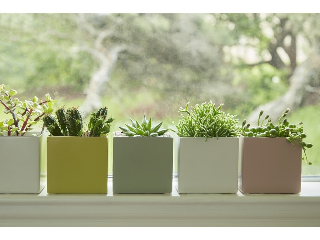 CUBE CACHE POT, MIXED COLOR, 4.5"X3.5", SOLD IN CASE OF 12