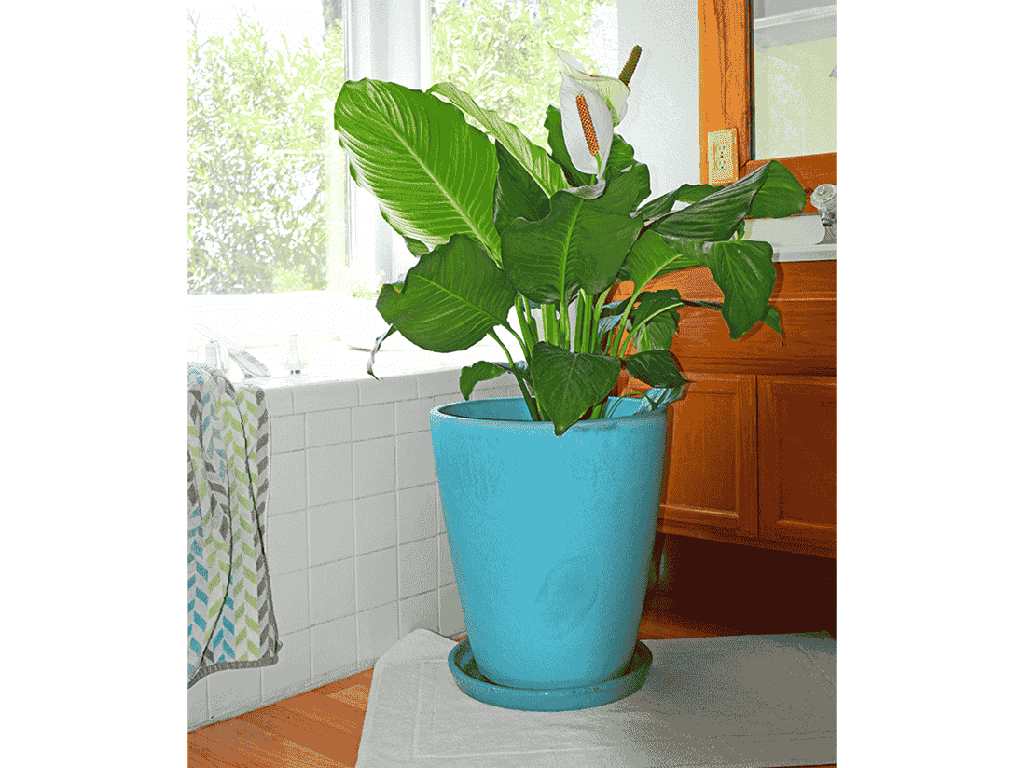 EXTRA LARGE BUCKET PLANTER,  MATTE TURQUOISE, SET OF 2- 17.5"X19.5", 13.5"X15.5"