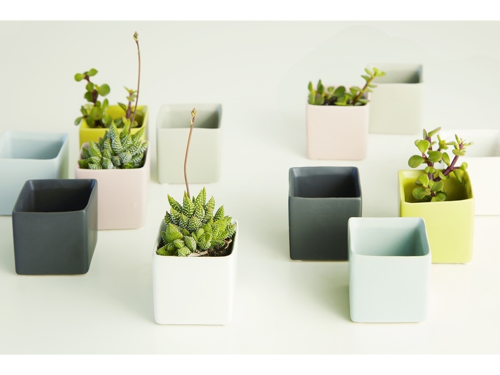 CUBE CACHE POT, MIXED COLOR, 2.5"X2.5", SOLD IN CASE OF 12