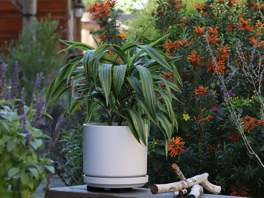 MID MODERN PLANTER WITH DETACHED SAUCER, CLOUD WHITE, 12.0"X10.5", 12.0"X2.5"