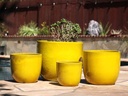 EGG SHELL POTS, CANARY YELLOW, SET OF 4 - 22.5" X 18.0", 17.5" X 15.0", 14.0" X 12.0", 11.5" X 12.0"