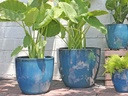 COCO POTS, GREEN , SET OF 3-19"X17", 15'X13", 12"X11"