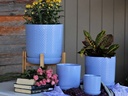 DOTTED CYLINDER PLANTER WITH ATTACHED SAUCER, PASTEL LIGHT BLUE, 7.0"x 7.5", SOLD IN CASE OF 6