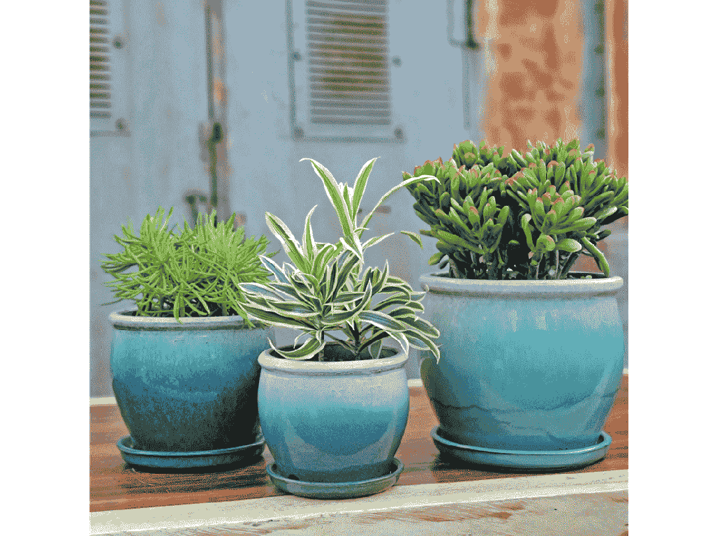 [PY-AS1699MNG-B] GOBLET PLANTER WITH ATTACHED SAUCER, MORNING GREEN, 12.5"X11.0"