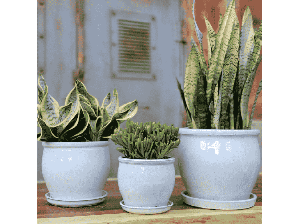 [PY-AS1699WSP-B] GOBLET PLANTER WITH ATTACHED SAUCER,WHITE SPECKLE, 12.5"X11.0"