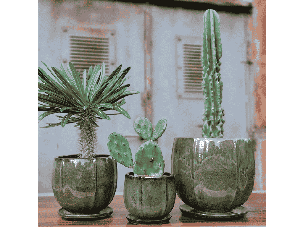 [PY-AS5025TGN-D] EGGPLANT PLANTER ATTACHED SAUCER, TROPICAL GREEN, 8.5'' X 7.5''