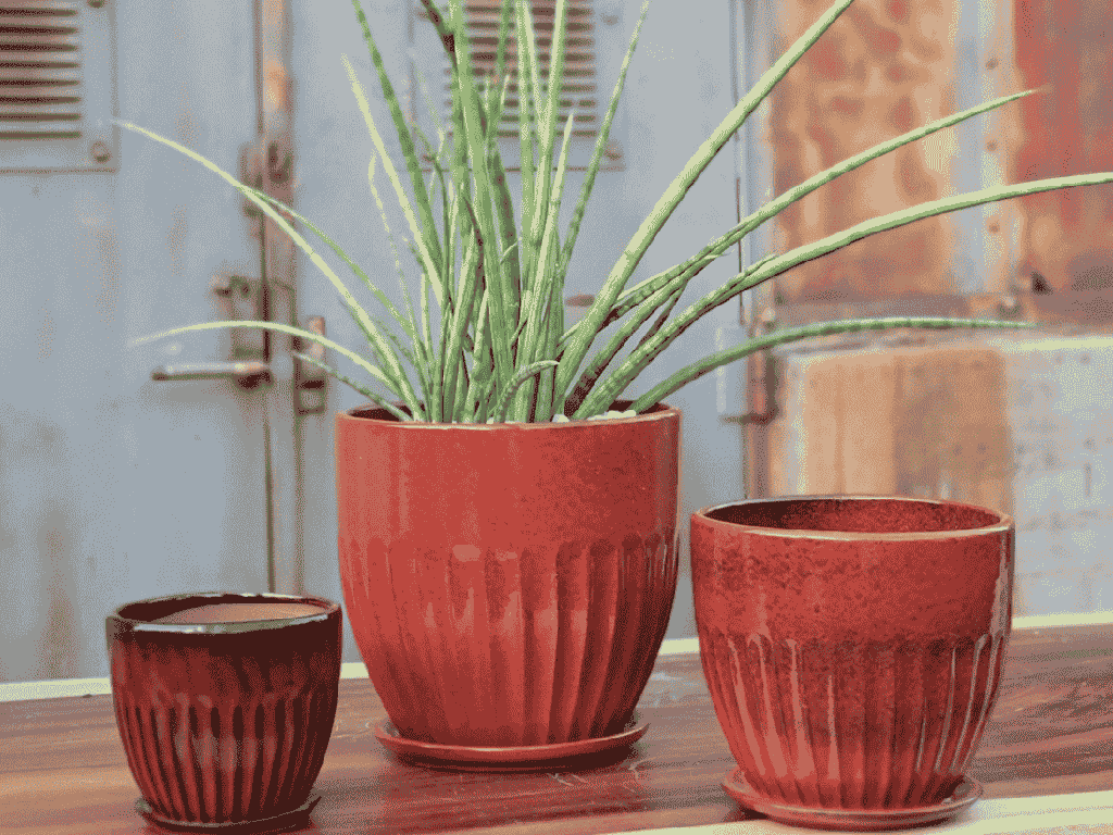 [PY-AS5094TRD-C] ZARAGOZA PLANTER WITH ATTACHED SAUCER, TROPICAL RED, 11.5" X 10.0"