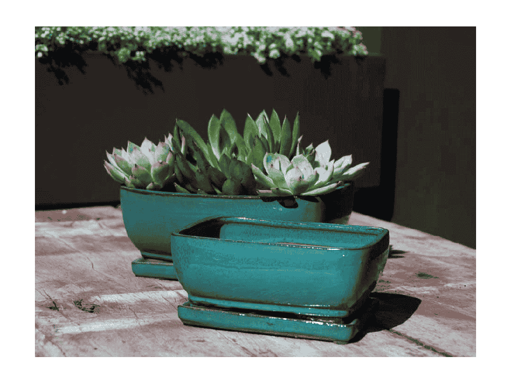 [PY-B1016JDE-A-C4] ROSEMARY BONSAI POT, JADE, 11"X8.5"X3.5" (SOLD IN CASE OF 4)