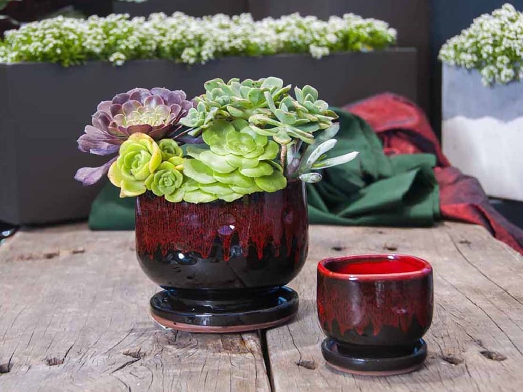 [PY-I1236RBK-C-C8] FINGER POT WITH ATTACHED SAUCERS, RED ON BLACK, SIZE C, 4.0"x3.5"x3.0" (SOLD IN CASE OF 8)