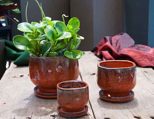 [PY-I1236SDN-A-C4] FINGER POT WITH ATTACHED SAUCERS, SEDONA, SIZE A, 7.0"x6.5"x5.5" (SOLD IN CASE OF 4)