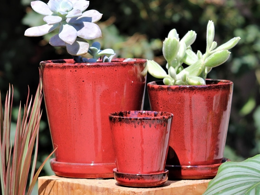 [PY-I1513TRD-B-C8] LILAC POT WITH ATTACHED SAUCER TROPICAL RED, SIZE B, 4.5"X4.5" (SOLD IN CASE OF 8)