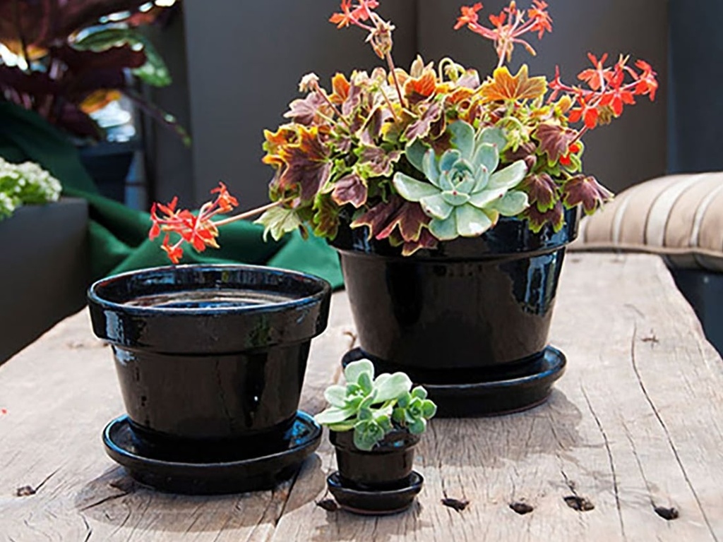 [PY-I1620BLK-C-C6] STANDARD POTS, SIZE C, BLACK, 5" X4.5", ATTACHED SAUCER (SOLD IN CASE OF 6)