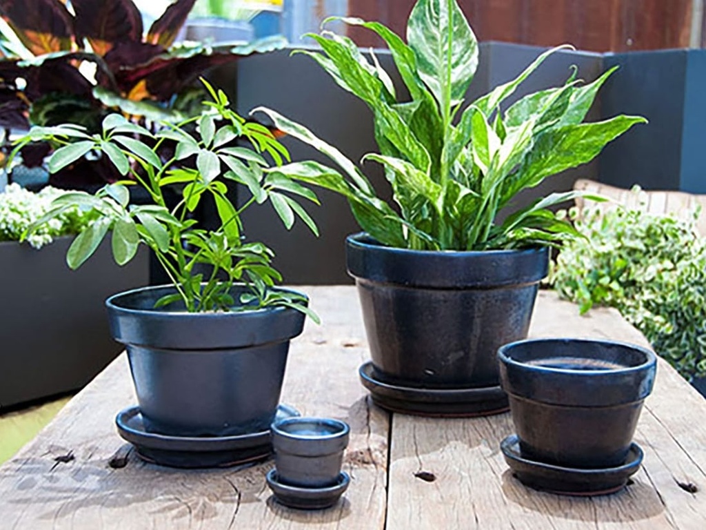 [PY-I1620SVR-B-C6] STANDARD POTS, SIZE B, SILVER, 6.75" X5.5", ATTACHED SAUCER (SOLD IN CASE OF 6)