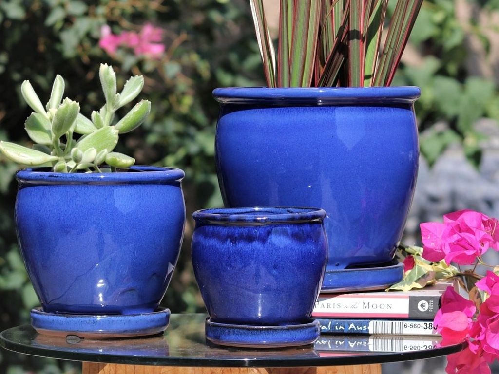 [PY-I1643FBL-B-C6] BUTTERCUP POT WITH ATTACHED SAUCER, FALLING BLUE, SIZE B, 5.5"X5.0" (SOLD IN CASE OF 6)