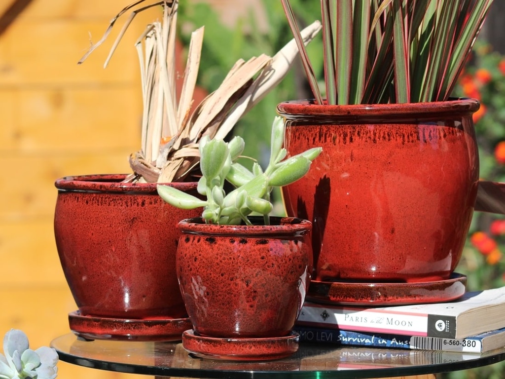 [PY-I1643TRD-B-C6] BUTTER CUP POT WITH ATTACHED SAUCER, TROPICAL RED, SIZE B, 5.5"X5.0" (SOLD IN CASE OF 6)