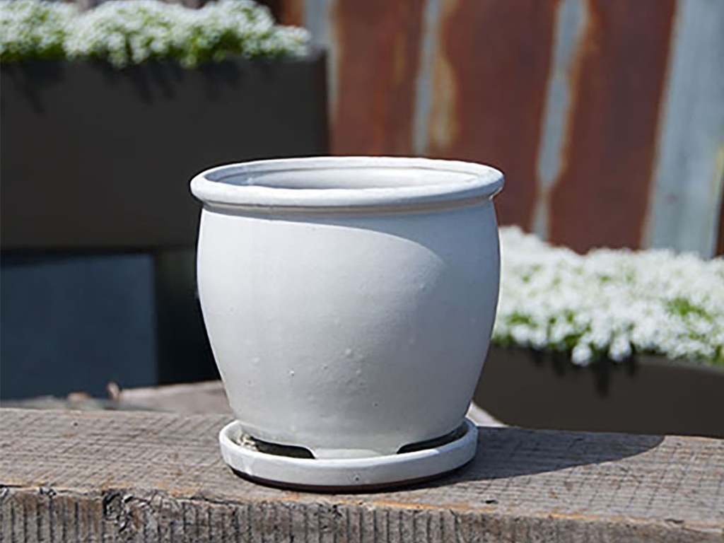 [PY-I1643WSP-C-C8] BUTTERCUP POT WITH ATTACHED SAUCER, WHITE ROSE, SIZE C, 4.5"X4.5" (SOLD IN CASE OF 8)