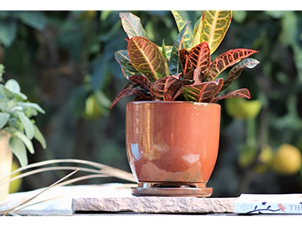 [PY-I5060OXI-A-C4] MAUI INDOOR PLANTER WITH ATTACHED SAUCER, OXIDE, 7"X6" (SOLD IN CASE OF 4)