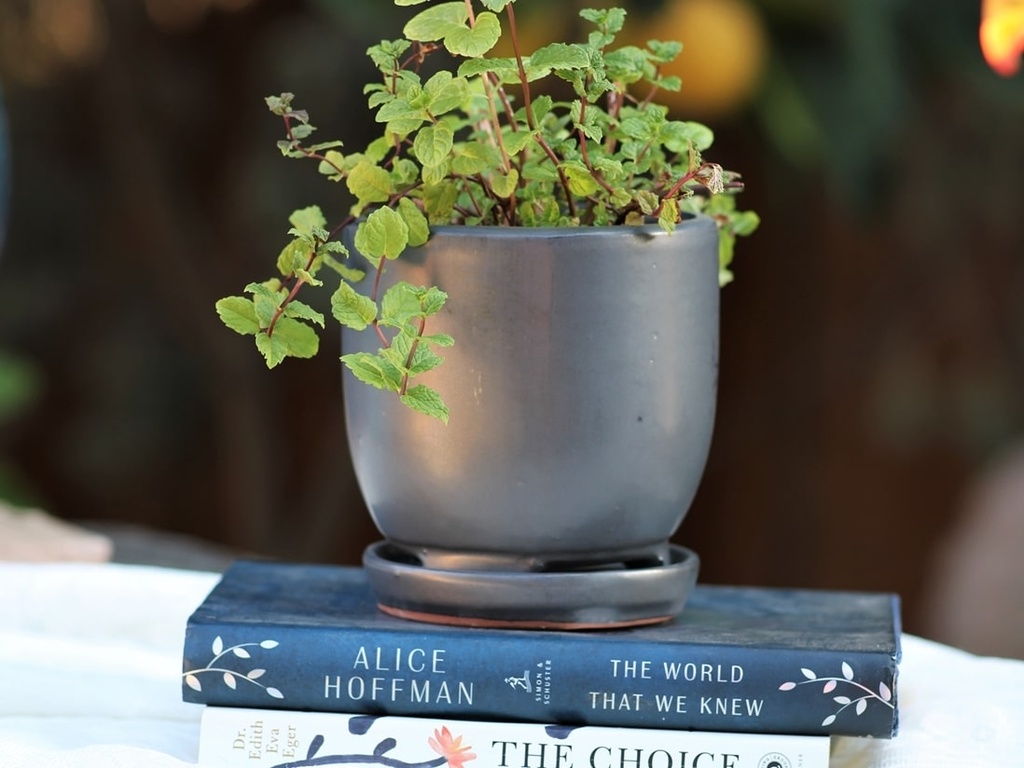 [PY-I5060SVR-A-C4] MAUI INDOOR PLANTER WITH ATTACHED SAUCER, SILVER, 7"X6" (SOLD IN CASE OF 4)