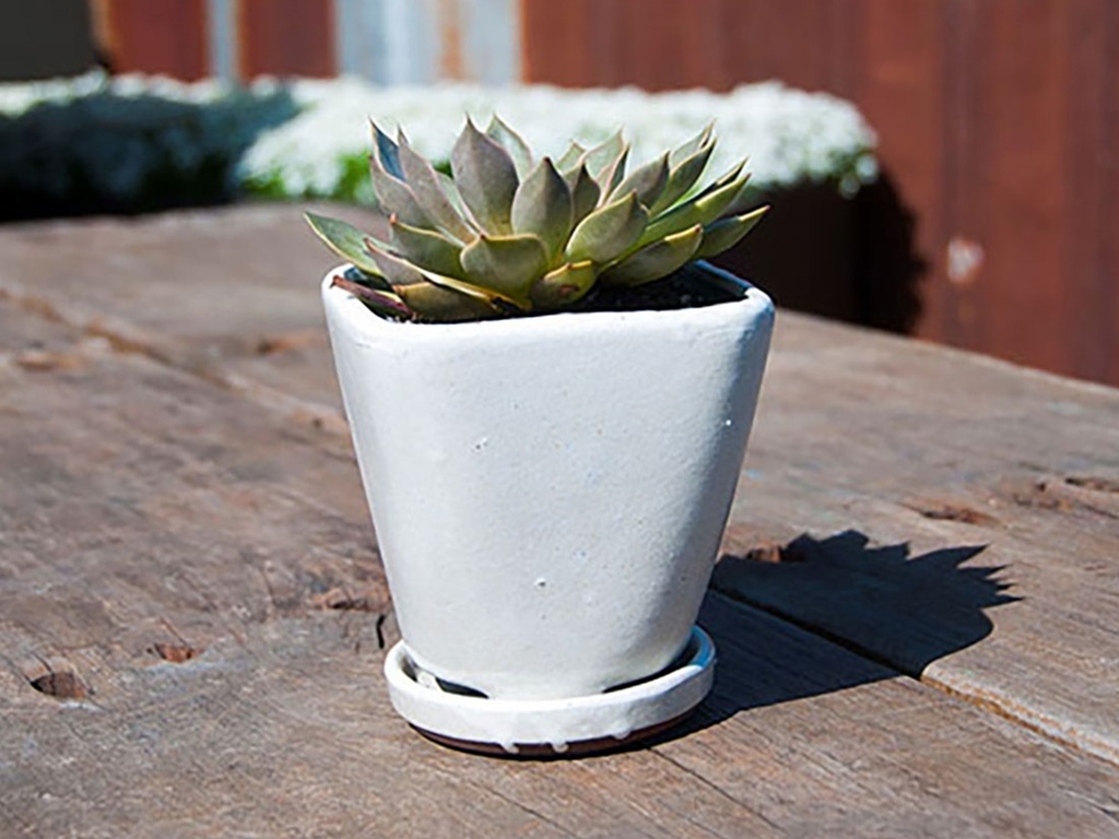 [PY-I5072WSP-A-C4] OAHU INDOOR PLANTER WITH ATTACHED SAUCER, WHITE ROSE, 7"X6.5" (SOLD IN CASE OF 4)