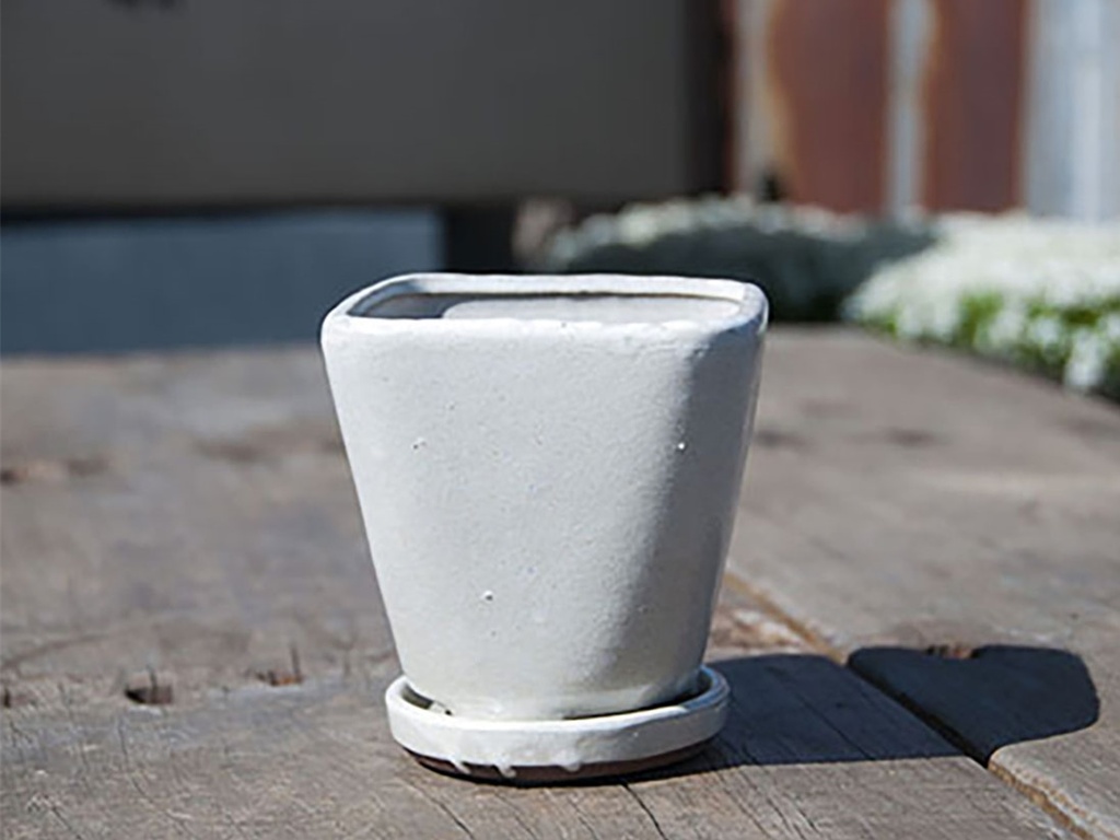 [PY-I5072WSP-B-C6] OAHU INDOOR PLANTER WITH ATTACHED SAUCER, WHITE ROSE, 5"X4.5" (SOLD IN CASE OF 6)