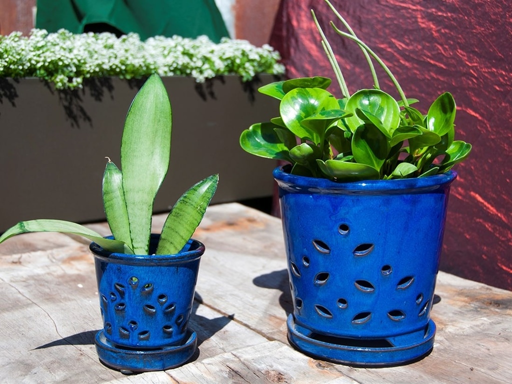 [PY-O5078FBL-A-C4] WAIKIKI ORCHID POT, ATTACHED SAUCER, FALLING BLUE, 7.5" X 6" (SELL BY CASE OF 4)