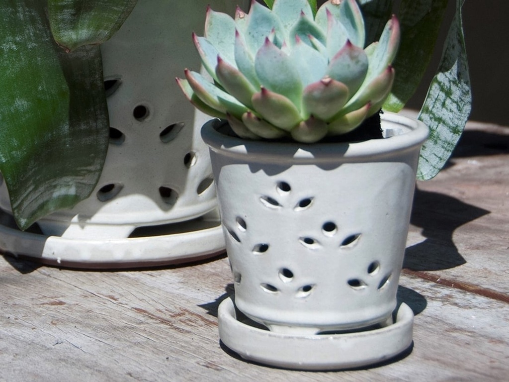 [PY-O5078WSP-B-C6] WAIKIKI ORCHID POT, WHITE SPOT, 6" X 5" (SELL BY CASE OF 6)