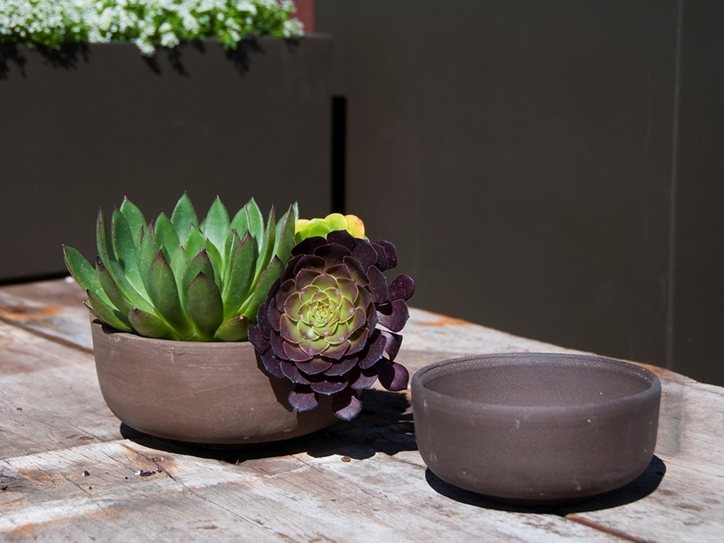 [PY-T1407EPC-S2-C2] SUCCULENT BOWL, ESPRESSO CLAY, SET OF 2 - 7.0" X 3.5", 6.0" X 3.0" (SELL BY CASE OF 2)