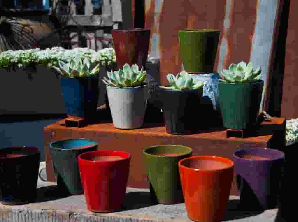 [PY-T1513MIX-C12] LILAC SUCCULENT BABY CUP WITH 12 MIXED COLORS, 4.5" X 4.5" (SOLD IN CASE OF 12)