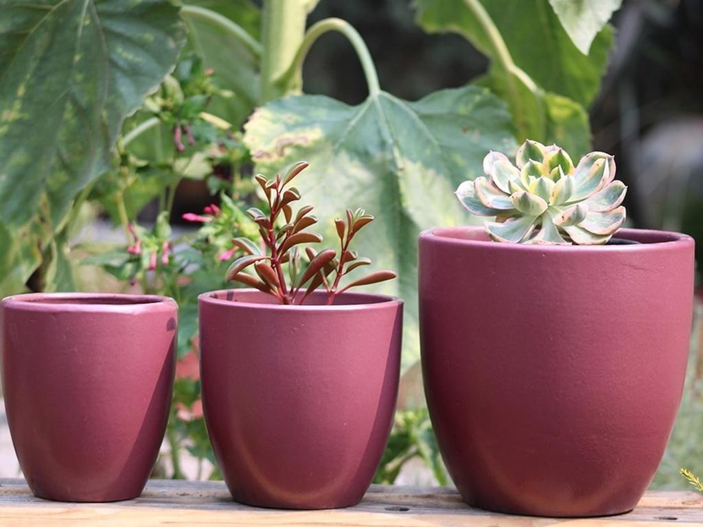 [PY-T5177BRS-S3] ANTHURIUM, BLUE ROSE, SET OF 3 - 8.5"X8.5",6.5"X6.5",5.5X5.5