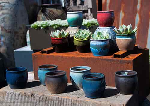 [PY-T5380MIX-C12] JASMINE SUCCULENT CUP WITH 12 MIXED COLORS, 3.5" X 3.5" (SOLD IN CASE OF 12)