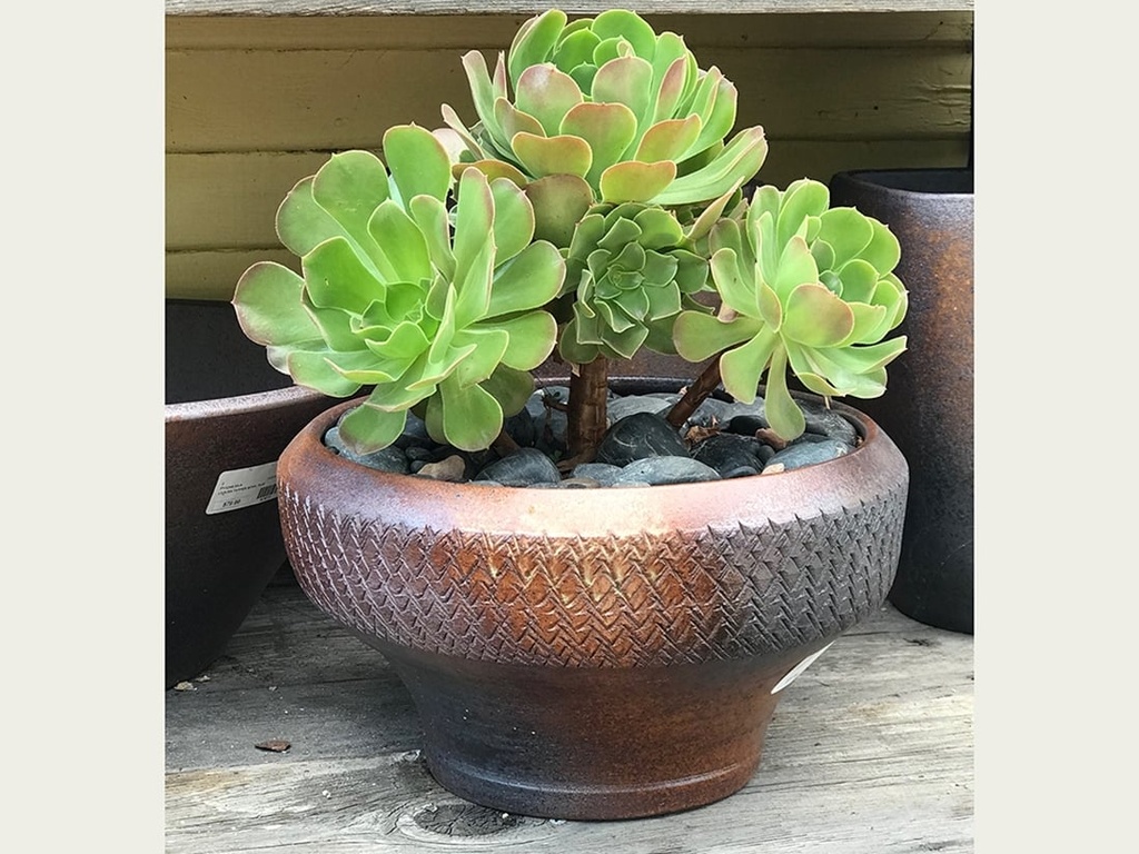 [PY-T6234EMB-S3] ARTISANAL SUCCULENT BOWL, EMBER, SET OF 3- 13.5"x7.0", 10.0"x5.0", 8.0"x4.5"