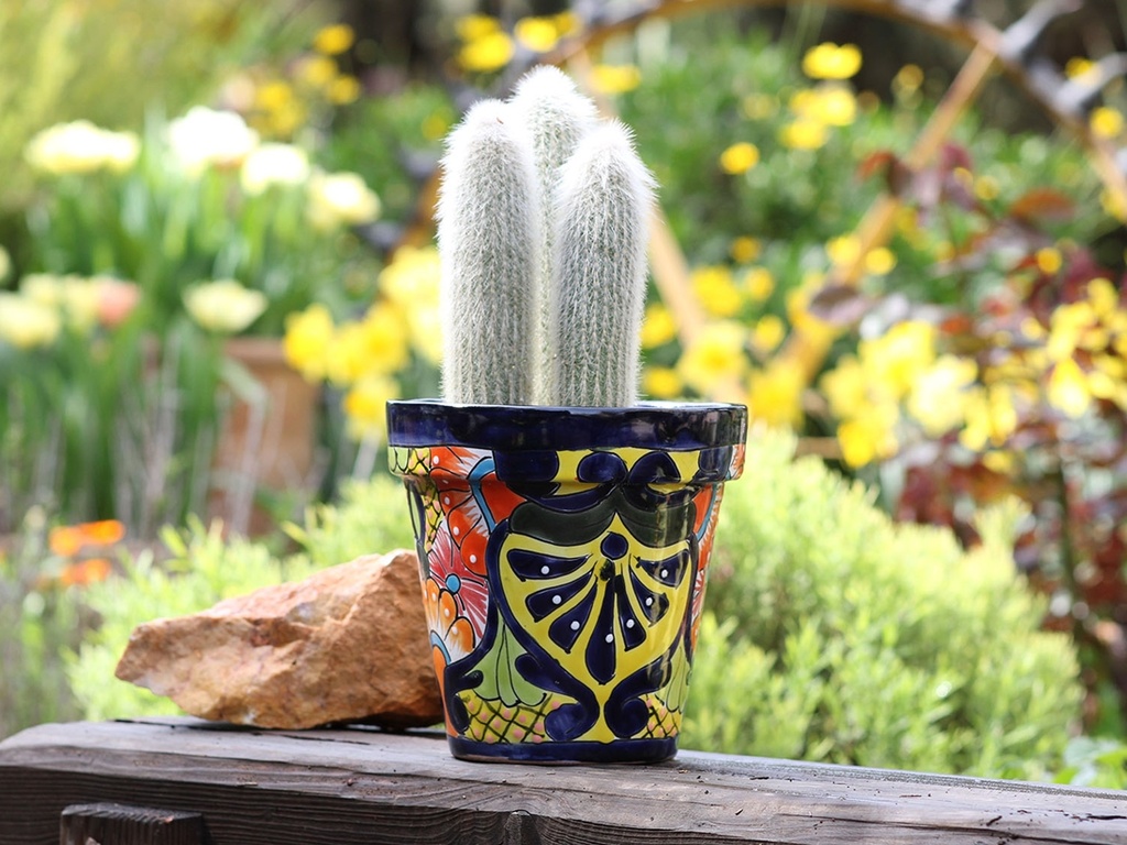 [TL-J2315-C6] GARDEN VASE #3, 6" x 6.5", SOLD IN CASE OF 6