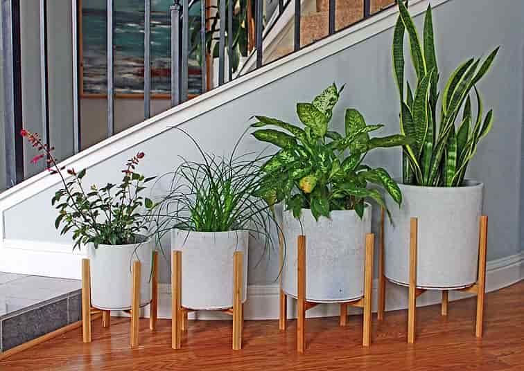 [AA-WSMM05PD-C4] MID MODERN MEDIUM STAND FOR PY-5178, 10.5"X11.5", SOLD IN CASE OF 4