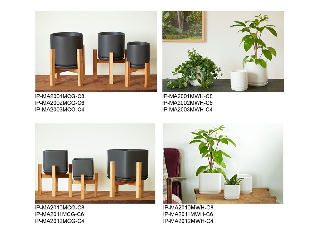 [BP-26-0502] URBAN STUDIO ASSORTMENT