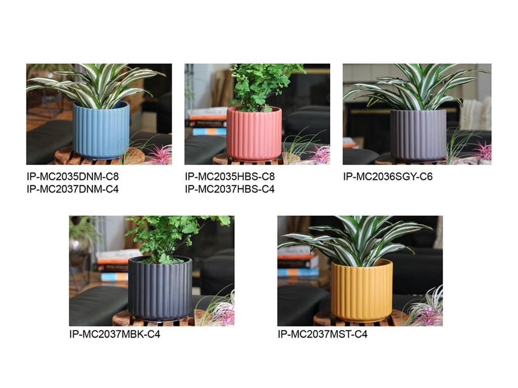 [BP-26-0505] RIBBED COLOR CLASSICS