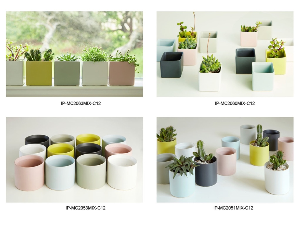 [BP-26-0506] COLORPOP MINIS ASSORTMENTS