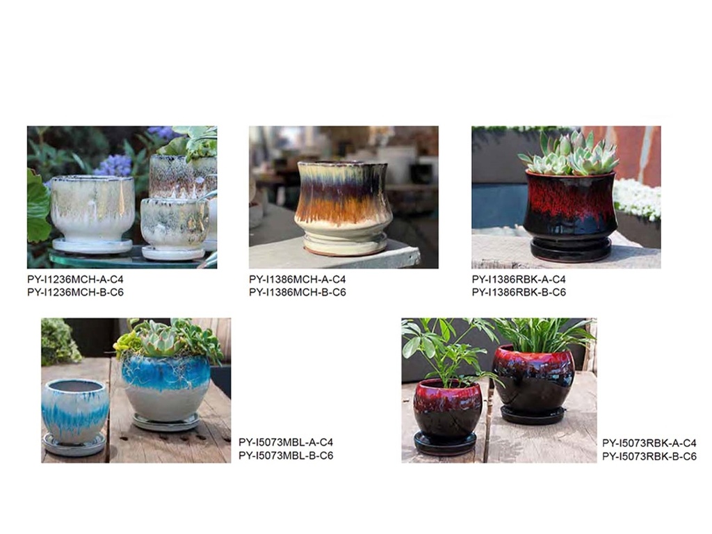 [BP-26-0510] CLASSIC INDOOR ASSORTMENT