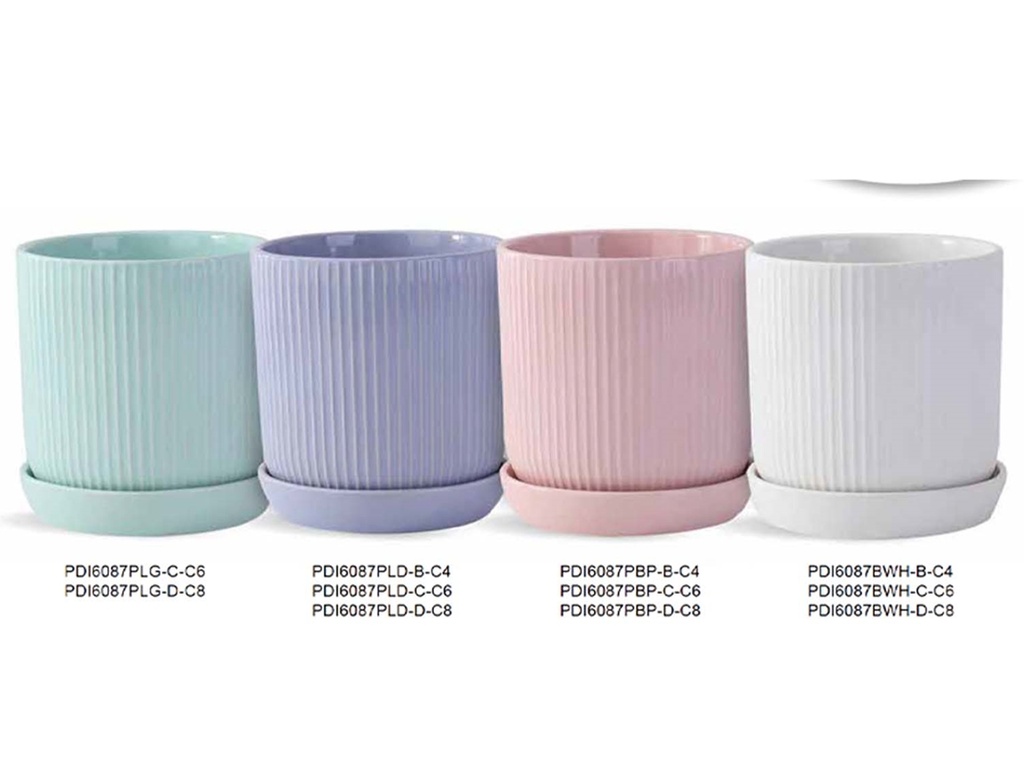 [BP-26-0512] CLEAN LINES COLLECTION