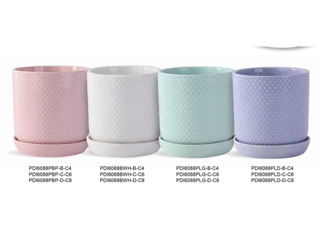 [BP-26-0513] MODERN DOT COLLECTION