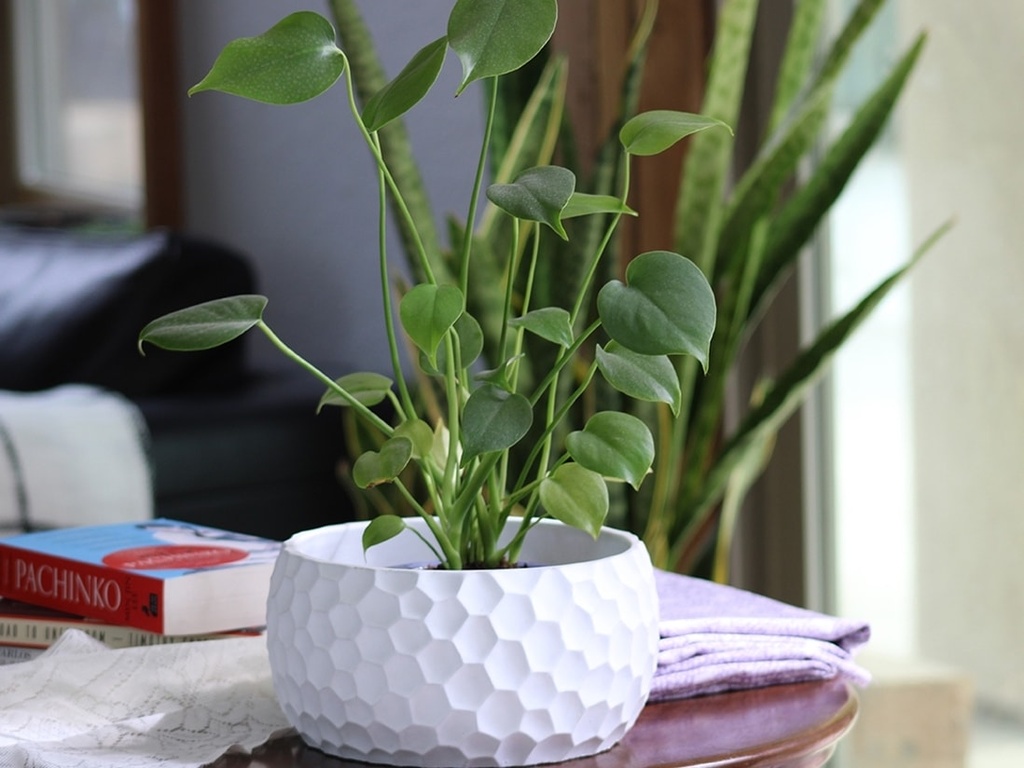 [IC-0054BLW-C4] ART DÉCOR HONEY COMB BOWL, BLANK WHITE, 9.0"X4.5" SOLD IN CASE OF 4