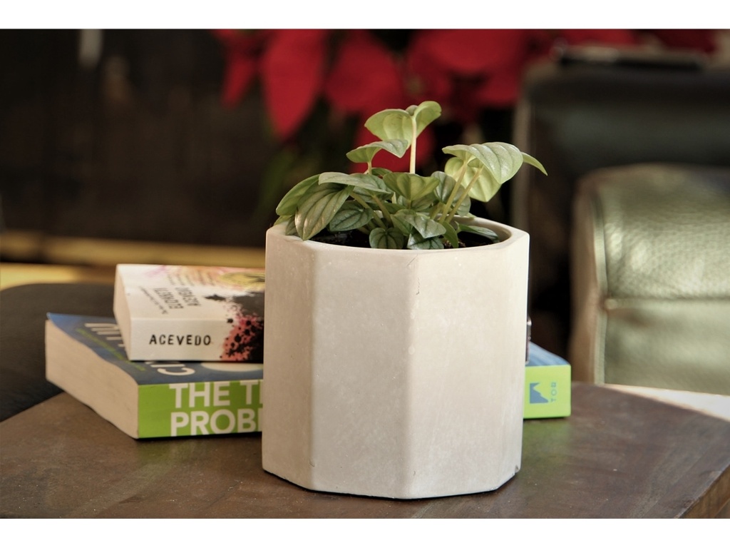 [IC-0101PCC-C12] GEOMETRY STRIDE PLANTER, POLISHED CONCRETE, 5"x4.5", SOLD IN CASE OF 12