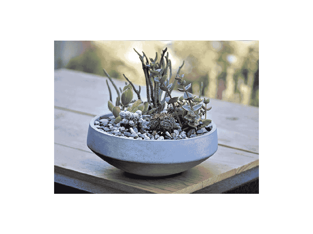 [IC-0106PCC-C4] GEOMETRY LOW SPHERE PLANTER, POLISHED CONCRETE, 8"x3", SOLD IN CASE OF 4