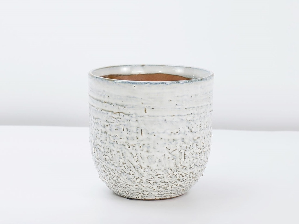 [IP-DG2374WDS-B-C8] PEBBLE BEACH PLANTER, WHITE DAISY, 4.5"X4.5", CASE OF 8